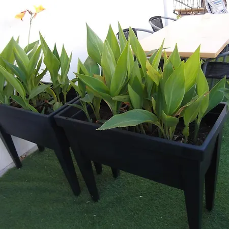 Διαμέρισμα P2 4 Prs, 200 M Et Cv