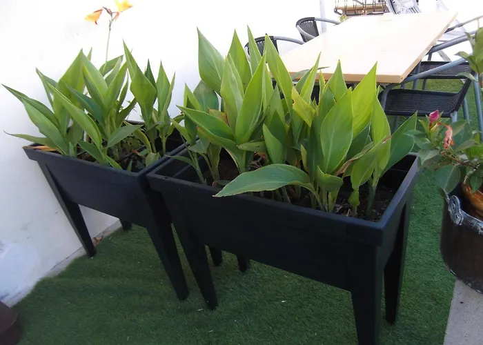 Apartamento P2 4 Prs, 200 M Et Cv